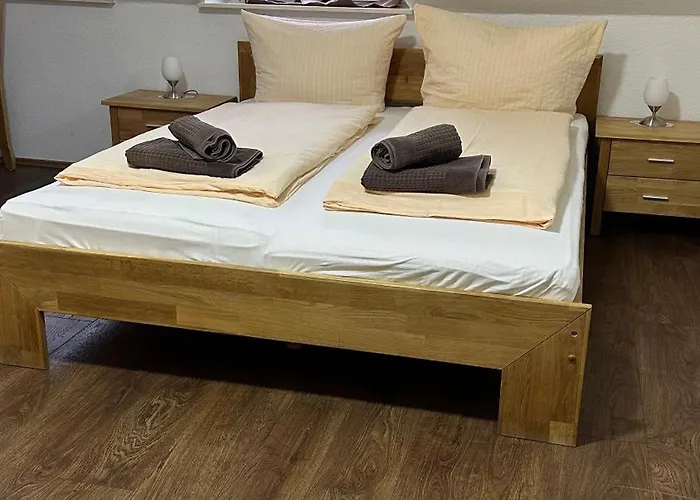 Restaurant Pizzeria Lion Affittacamere